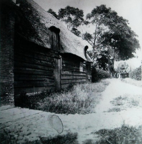 Bestand:Dijke 31124.jpg