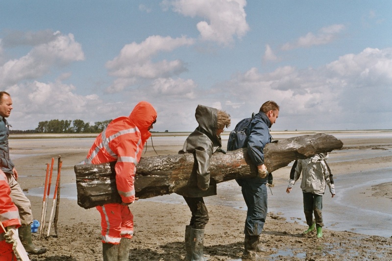 Bestand:Afb 3 groot rilland.jpg